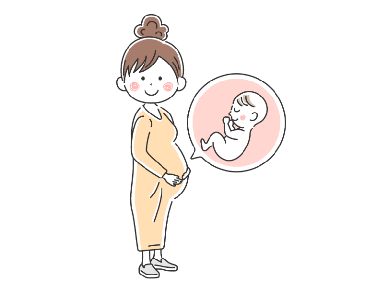 妊娠している女性（妊婦）の透過PNGイラスト