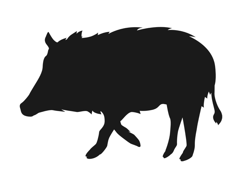 野生の猪のシルエットの無料イラスト イラストセンター