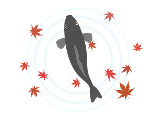 鯉 イラストセンター