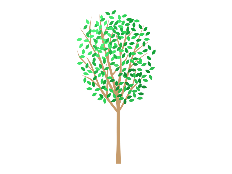 緑の葉をつけた木の透過PNGイラスト