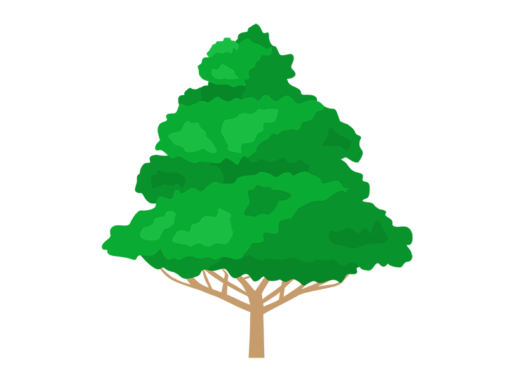 幹 イラストセンター