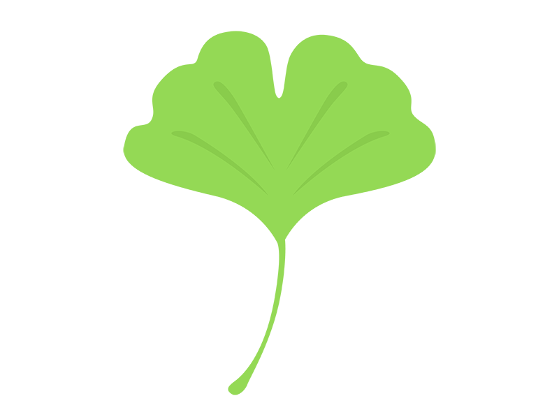 緑色のイチョウの葉っぱの透過PNGイラスト