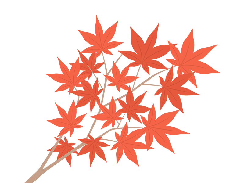 紅葉の木の枝と、赤い色の葉の透過PNGイラスト