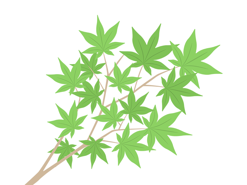 紅葉の木の枝と、緑色の葉の透過PNGイラスト