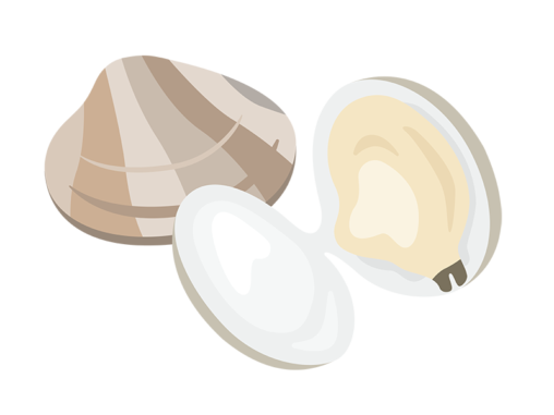 しじみ イラストセンター