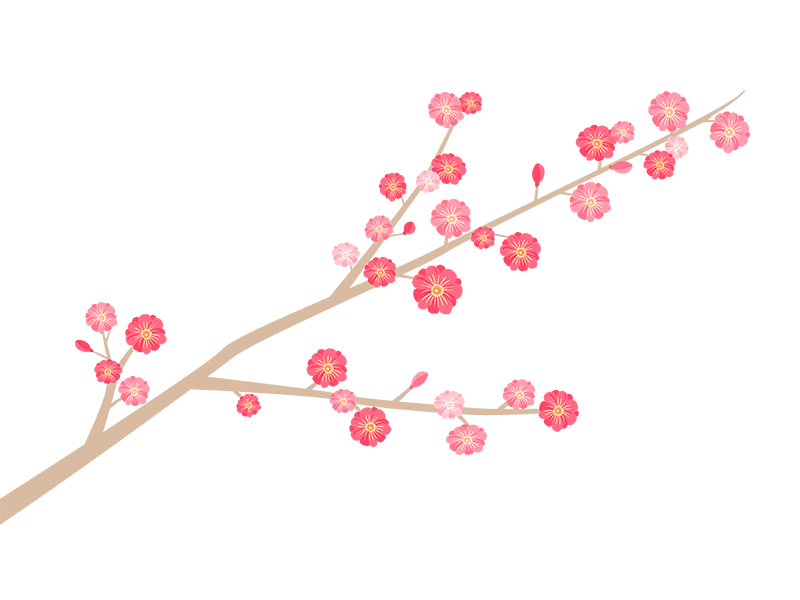 梅の木の枝と花の透過PNGイラスト