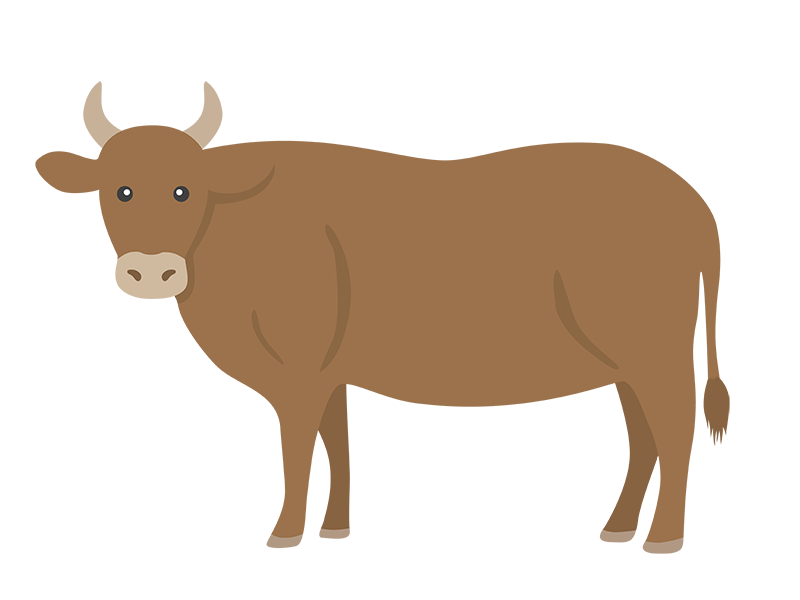 茶色の牛の透過PNGイラスト