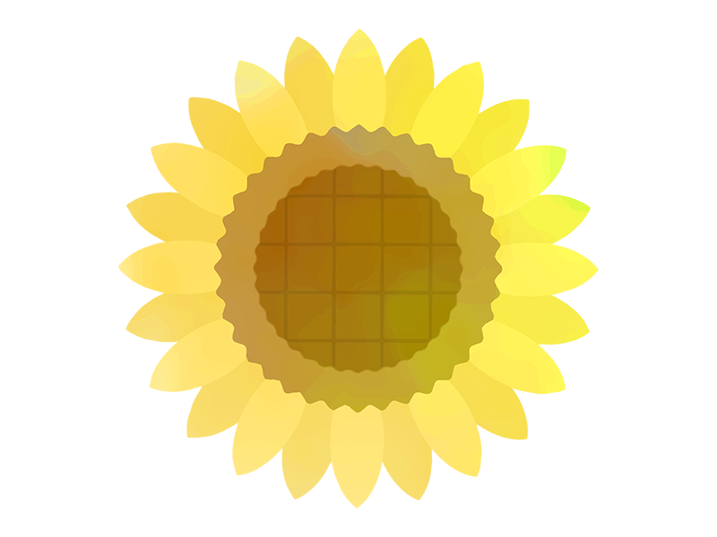 向日葵の花の水彩画の透過PNGイラスト