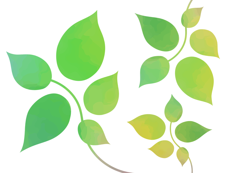 緑の葉の水彩画の透過PNGイラスト