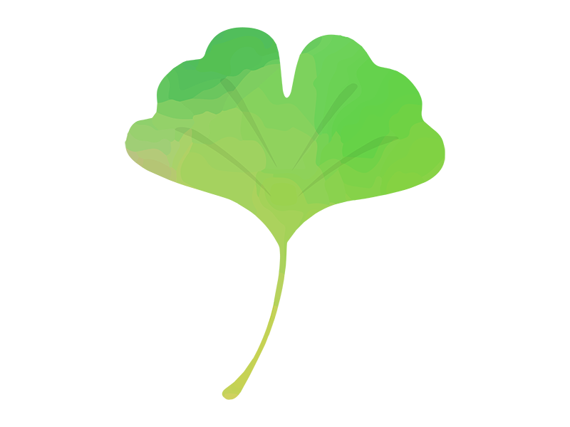 緑のイチョウの葉の水彩画の透過PNGイラスト