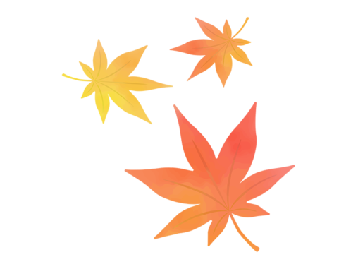 楓 イラストセンター
