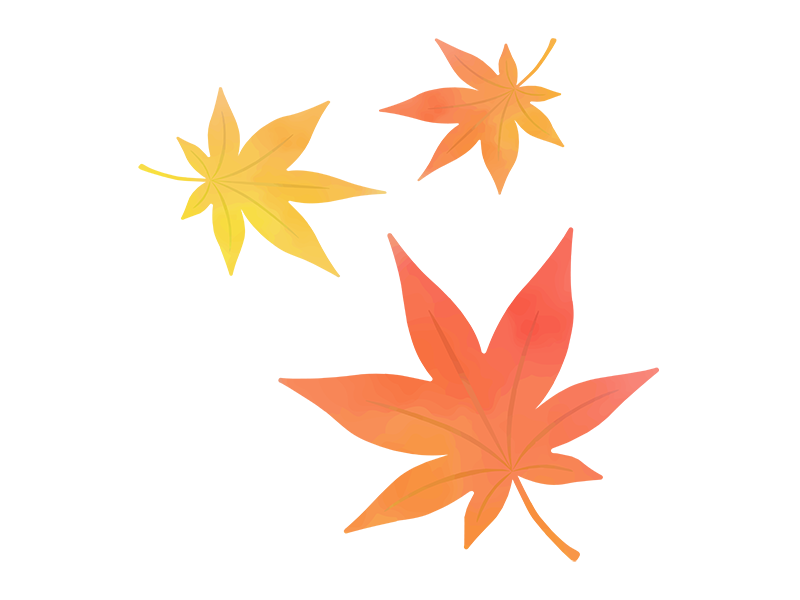 紅葉の葉の水彩画の無料イラスト イラストセンター