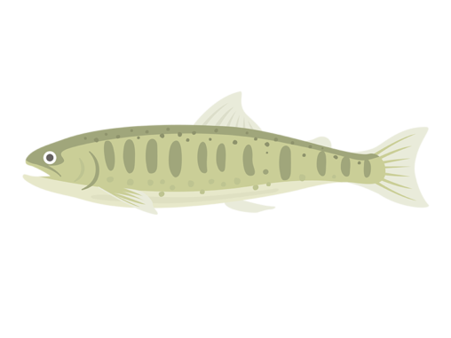 マス イラストセンター マス イラストセンター