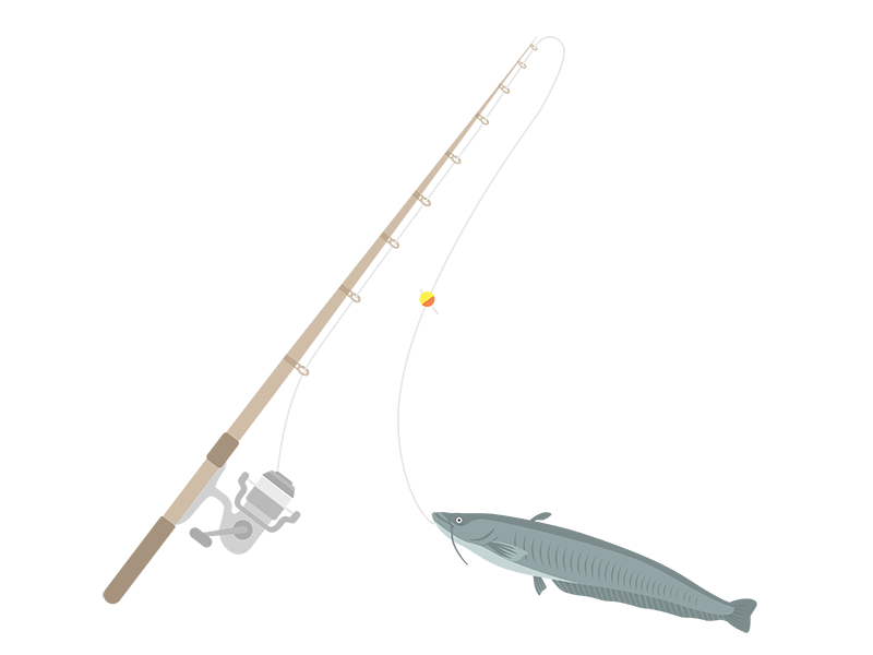 釣り竿で、ナマズを釣る透過PNGイラスト