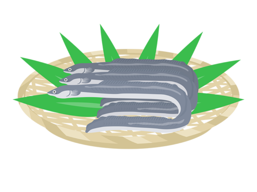 川魚 イラストセンター 川魚 イラストセンター