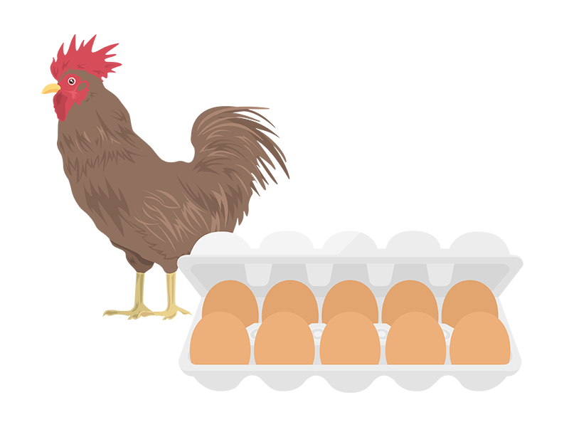 鶏とパックに入った赤卵の透過PNGイラスト
