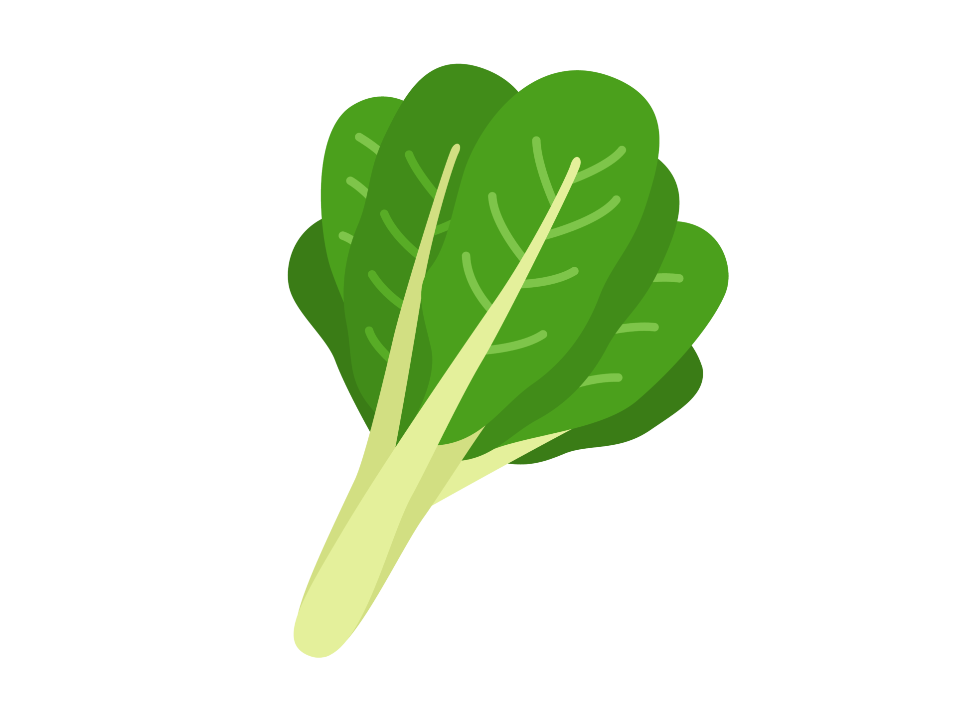 小松菜の野菜の無料イラスト イラストセンター