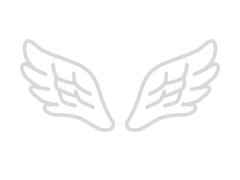白い羽の翼の透過PNGイラスト