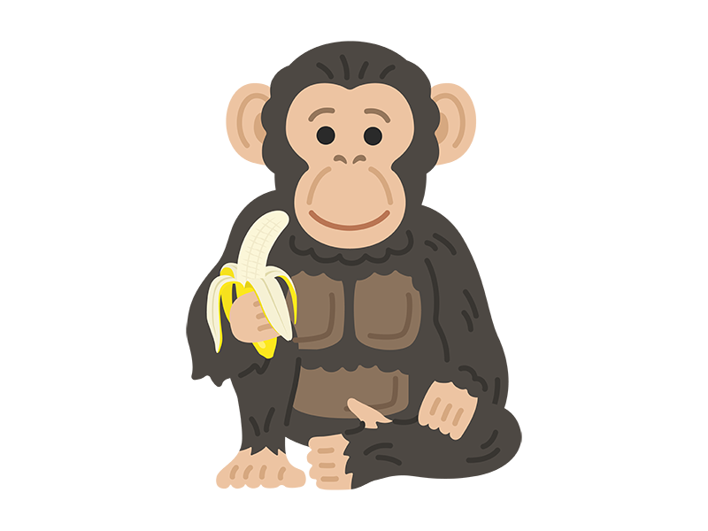 バナナを食べる、チンパンジーの透過PNGイラスト