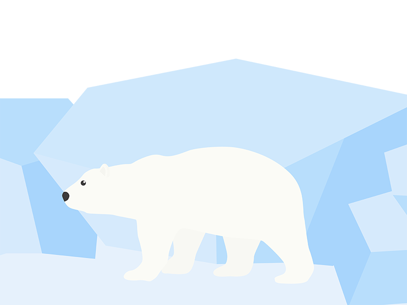 氷の上を歩く、シロクマの透過PNGイラスト