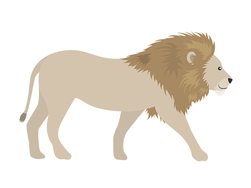 ライオンの無料イラスト イラストセンター