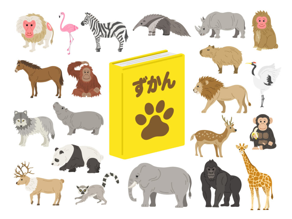 無料でイラストもダウンロードできる動物図鑑 商用利用可能 フリー素材 22 12 22更新 イラストセンター