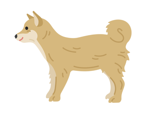横から見た、柴犬の無料イラスト | 無料・商用OKのイラスト素材｜イラストセンター