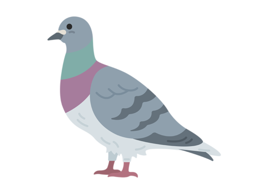 野鳥 イラストセンター