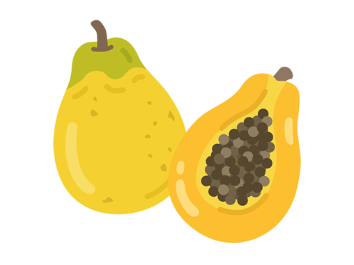 果物 イラストセンター