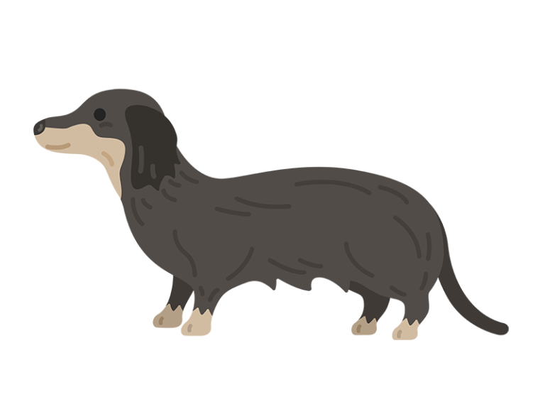 横から見た、柴犬の無料イラスト | 無料・商用可のフリーイラスト素材｜イラストセンター