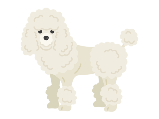 小型犬 イラストセンター