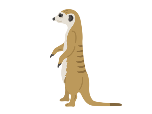 マングース イラストセンター