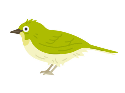 野鳥 イラストセンター