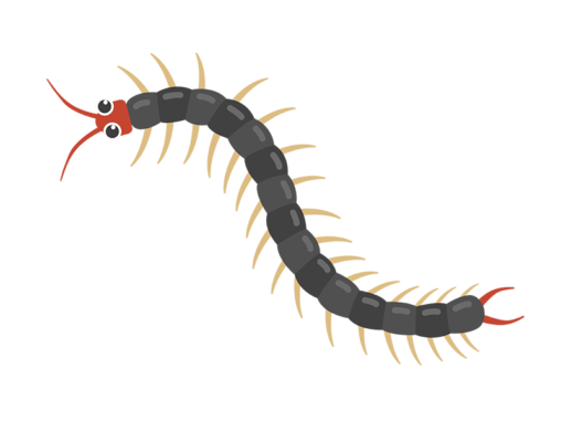 昆虫 イラストセンター