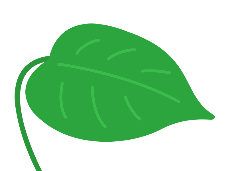 緑色の大きな葉っぱの透過PNGイラスト