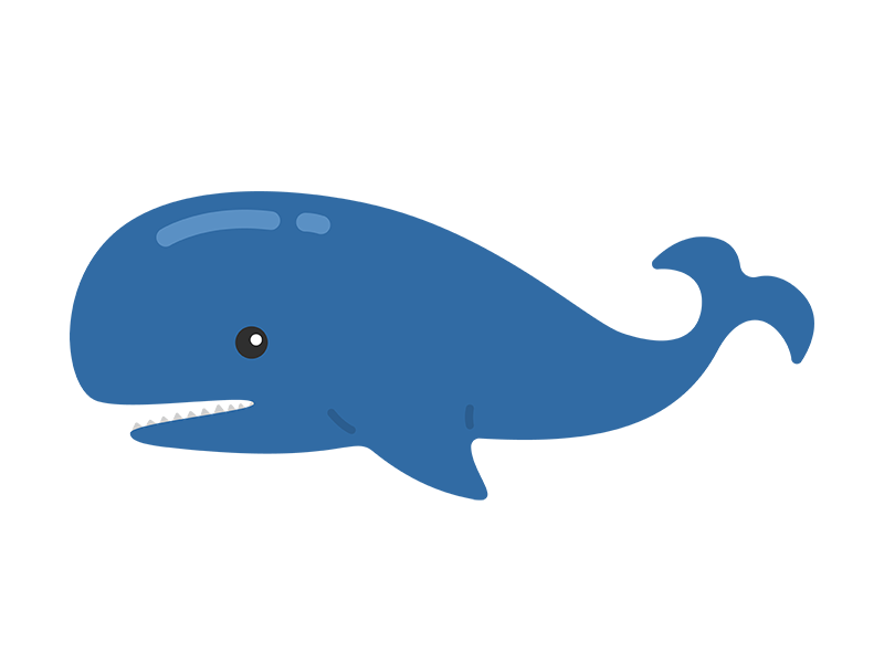クジラの透過PNGイラスト