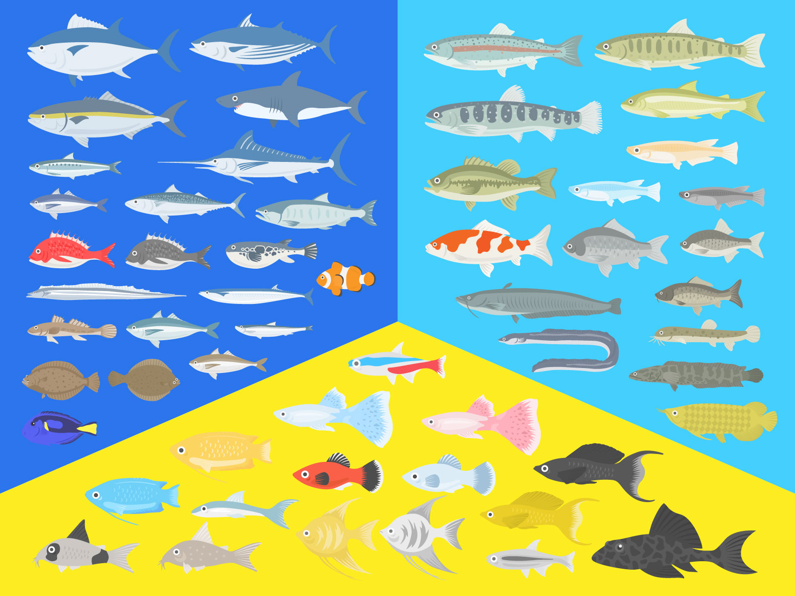 海水魚と淡水魚のイラストコレクション 商用利用可能 フリー素材 22 08 23更新 イラストセンター
