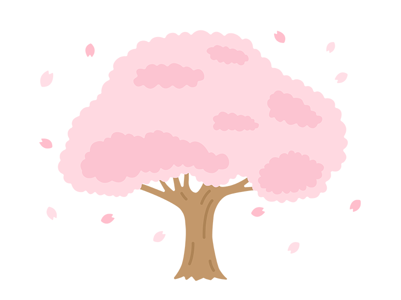 満開の桜の木の透過PNGイラスト
