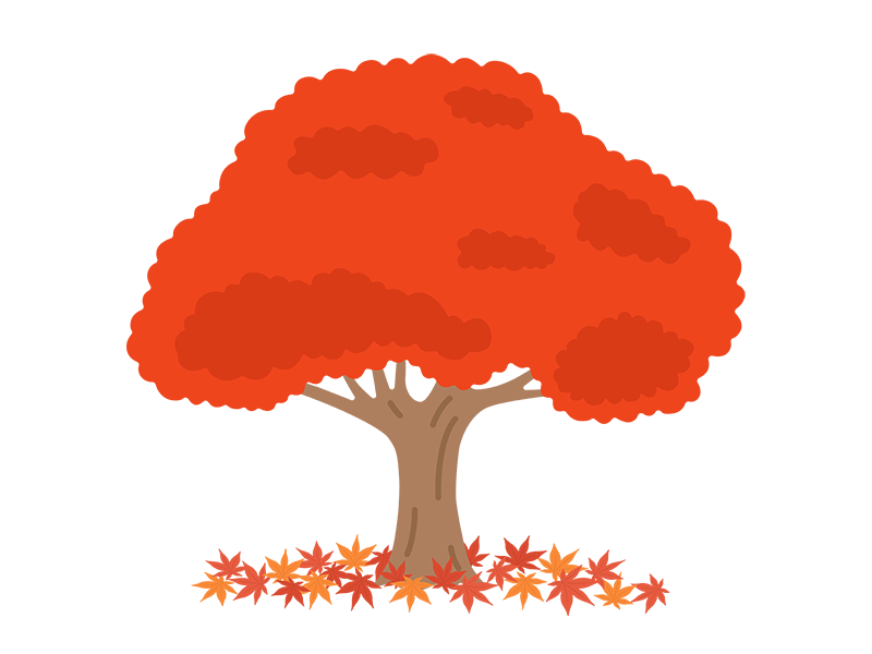 紅葉した木の透過PNGイラスト