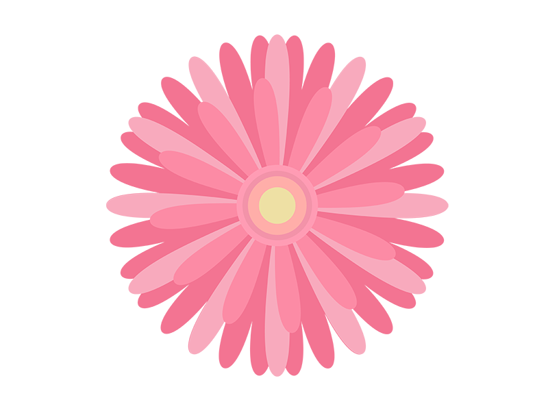 ピンク色のガーベラの花の透過PNGイラスト