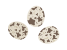 うずらの卵の殻の無料イラスト