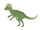 恐竜のパキケファロサウルスの無料イラスト