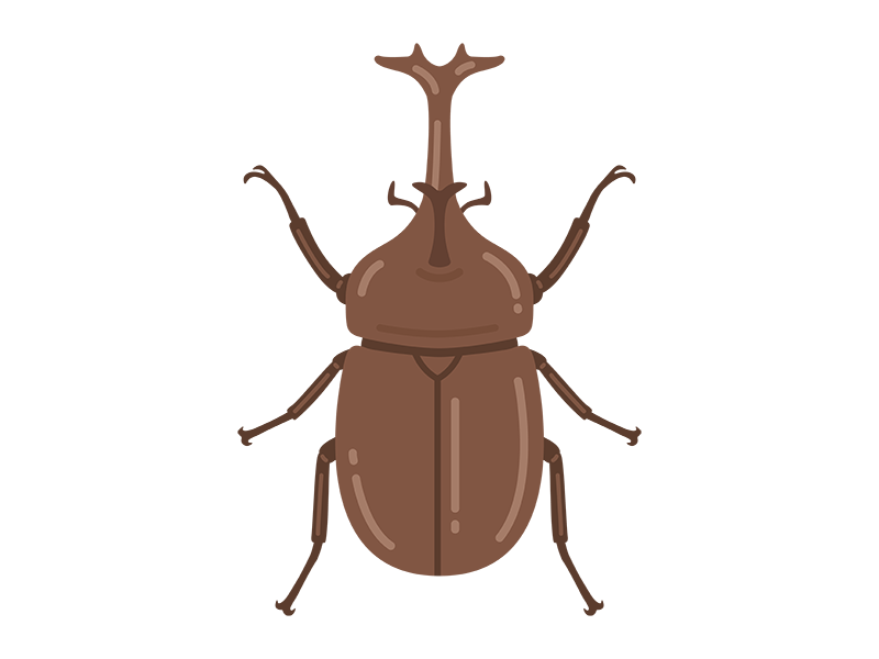 カブトムシの成虫の無料イラスト