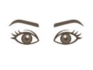 人間の目と眉毛の無料イラスト