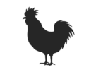 鶏のシルエットの無料イラスト