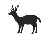 鹿のシルエットの無料イラスト