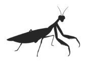 カマキリのシルエットの無料イラスト