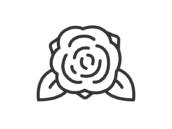 薔薇の花のアイコン（線画）の無料イラスト