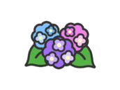 紫陽花のアイコン（線画カラー）の無料イラスト