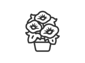 朝顔の花のアイコン（線画）の無料イラスト